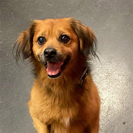 Skippy von der Feierwerk Fachstelle Pop