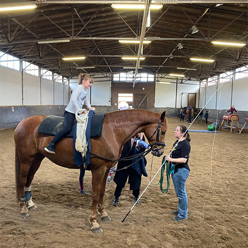 Voltigieren: Akrobatik auf dem Pferderücken