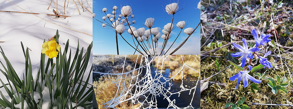 Feierwerk Nachbarschafftstreff Jahreszeiten-Spaziergang, Räuchern und vieles mehr